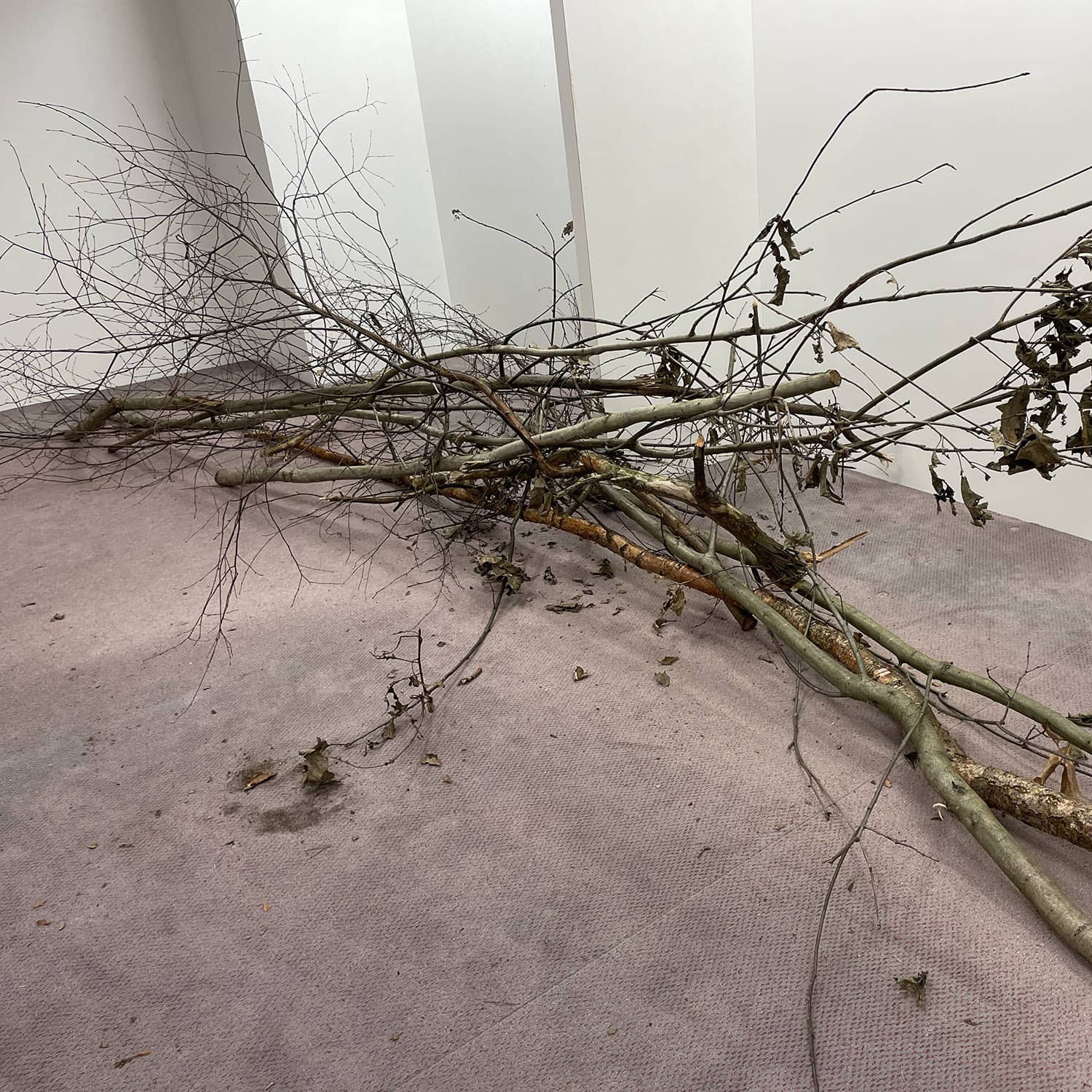 Expositie: TAKA KAGITOMI @ NO ART FASHION